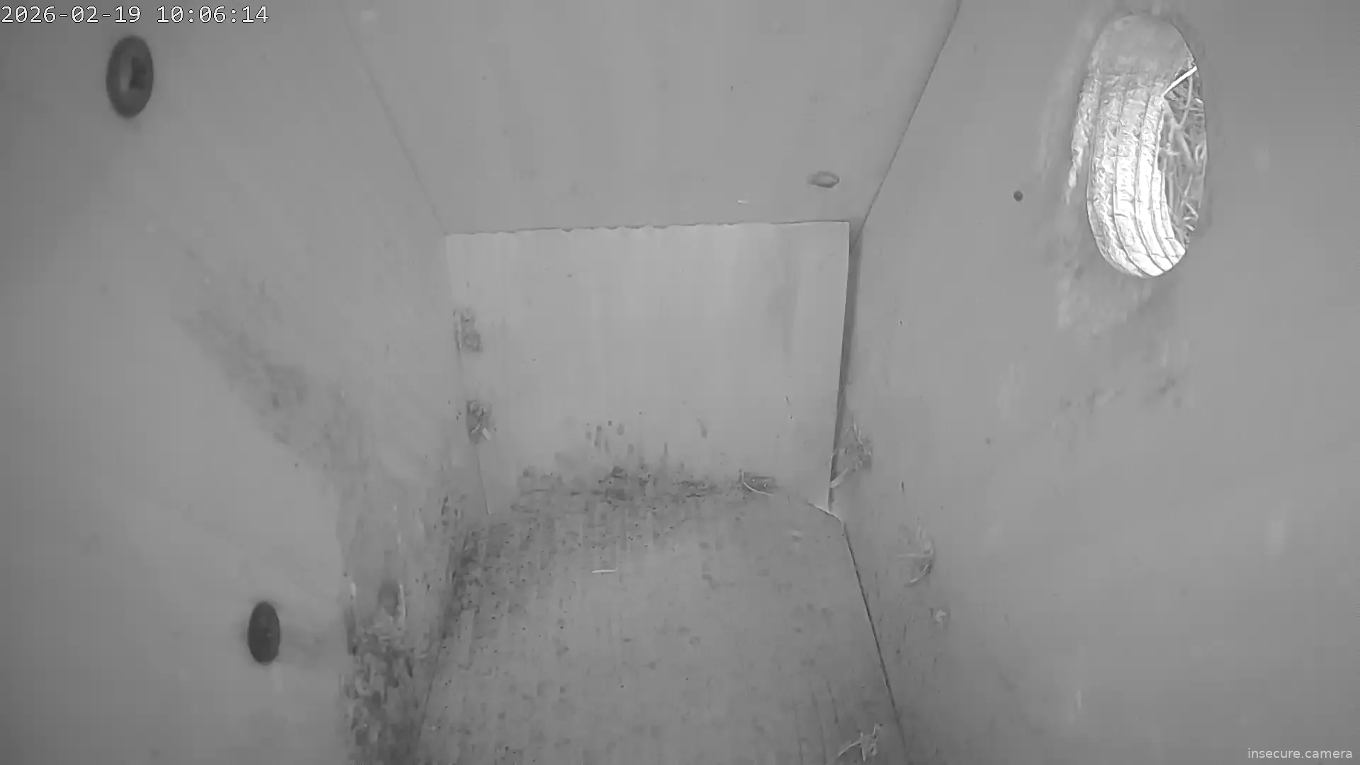 Capture from Feb 19, 2026 at 10:06 AM