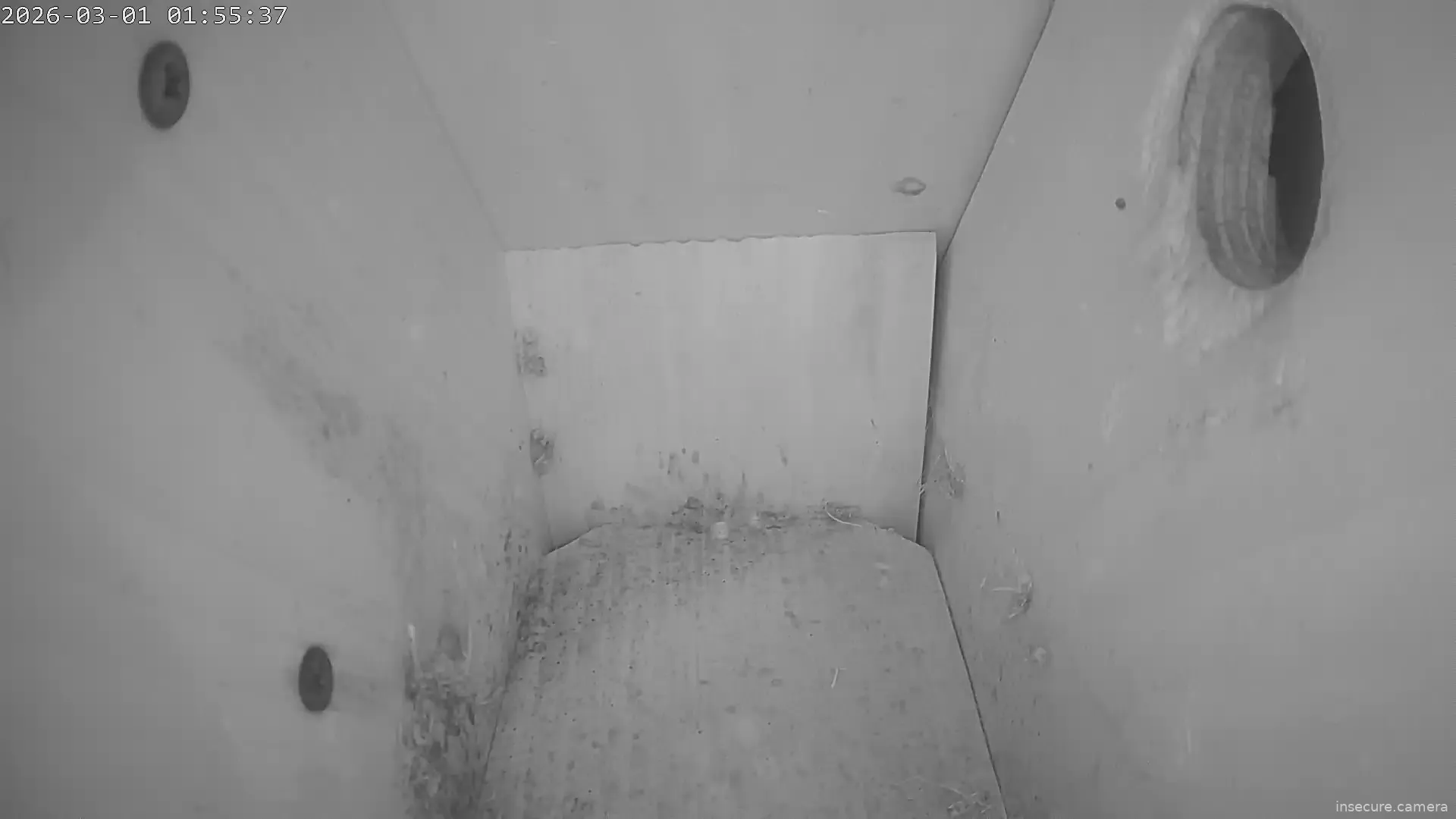 Capture from Mar 01, 2026 at 01:55 AM