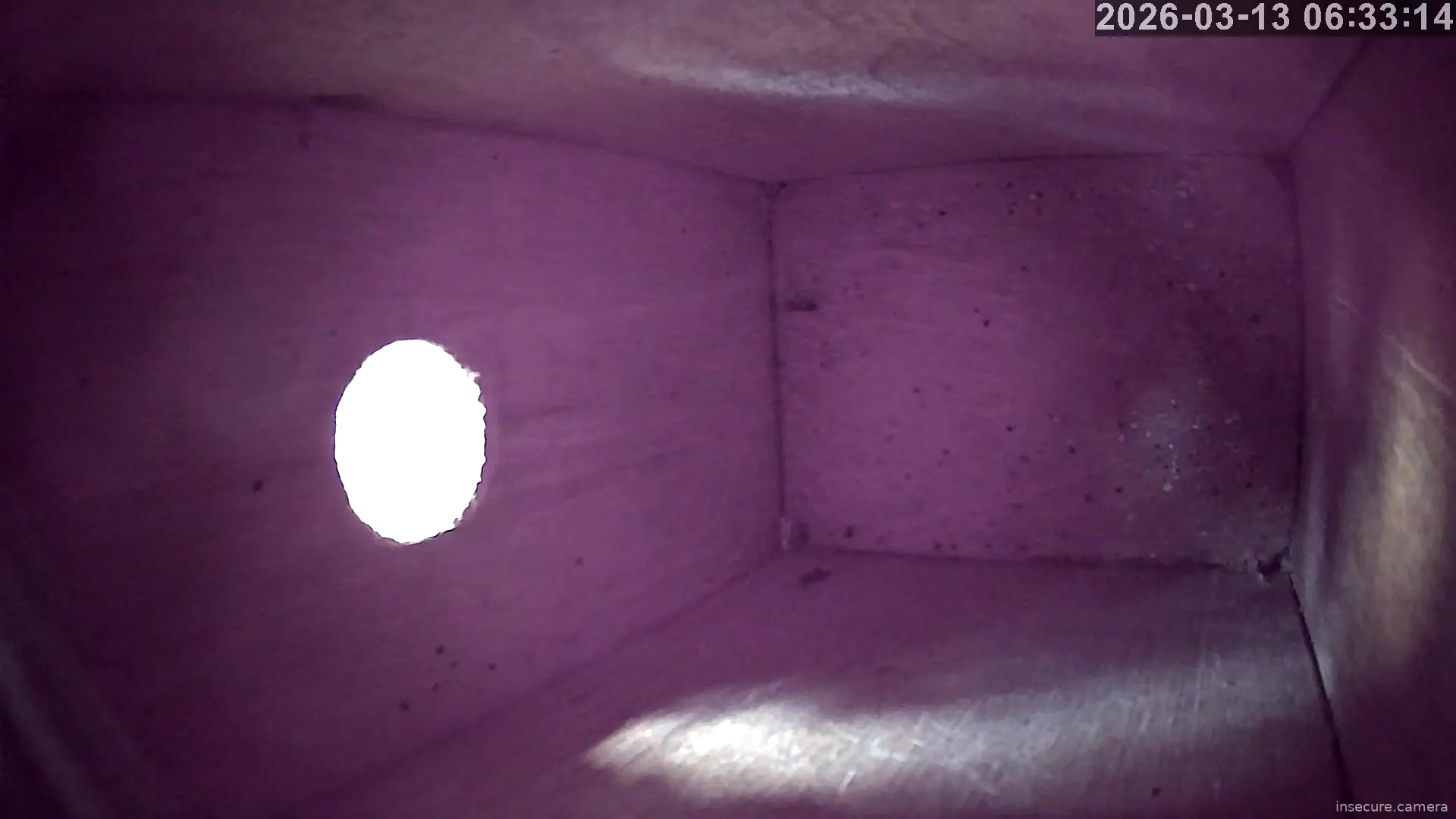 Camera in United Kingdom