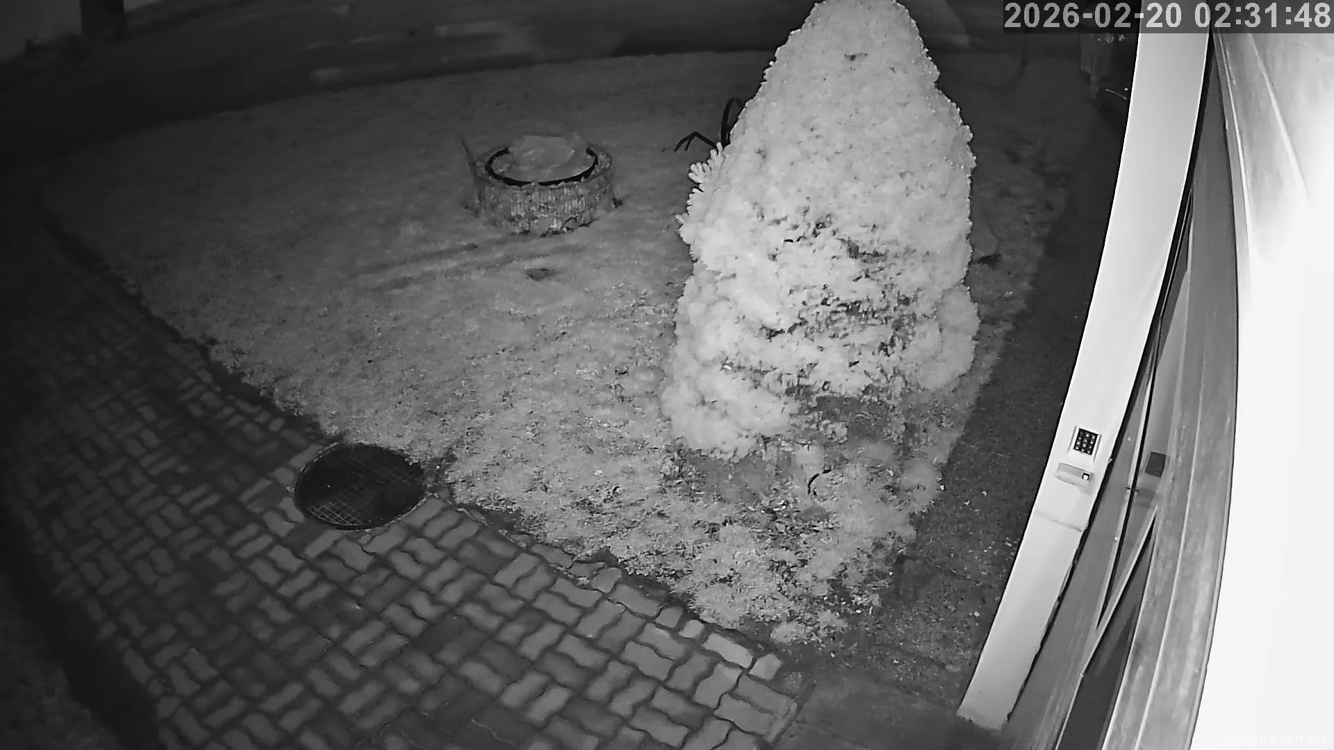 Capture from Feb 20, 2026 at 01:32 AM