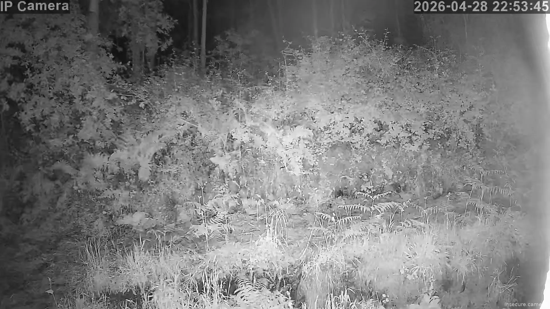 Capture from Apr 28, 2026 at 08:54 PM