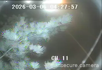 Capture from Mar 05, 2026 at 08:45 PM