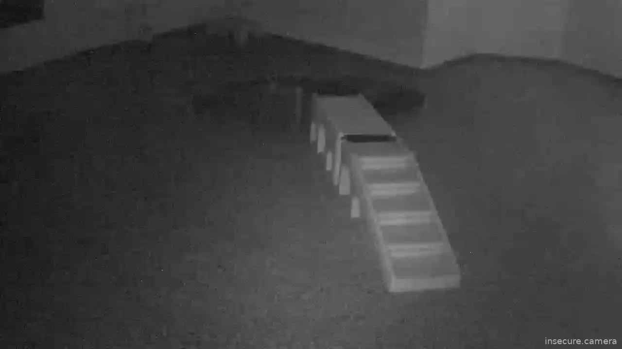 Capture from Feb 19, 2026 at 01:02 AM