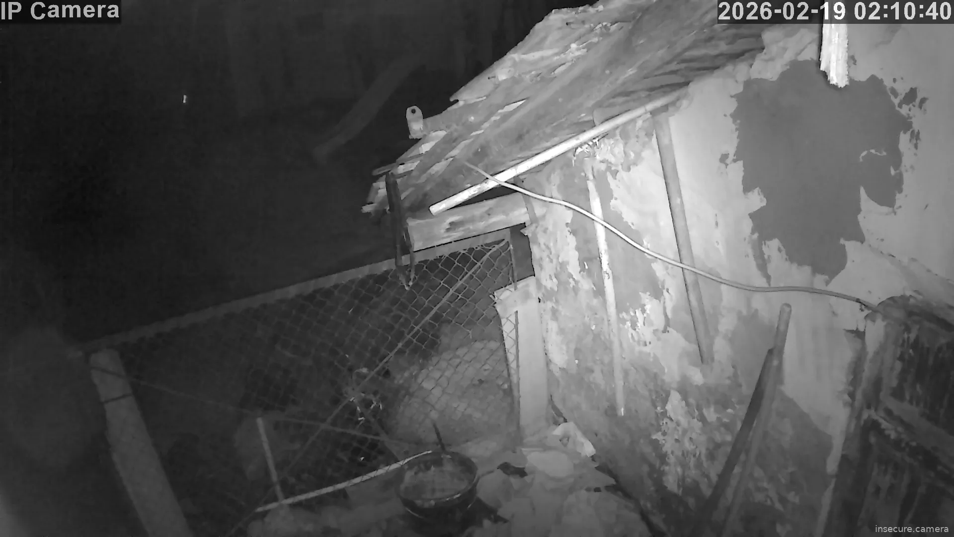 Capture from Feb 19, 2026 at 01:11 AM