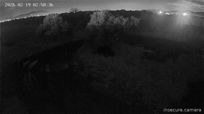 Capture from Feb 19, 2026 at 12:58 AM