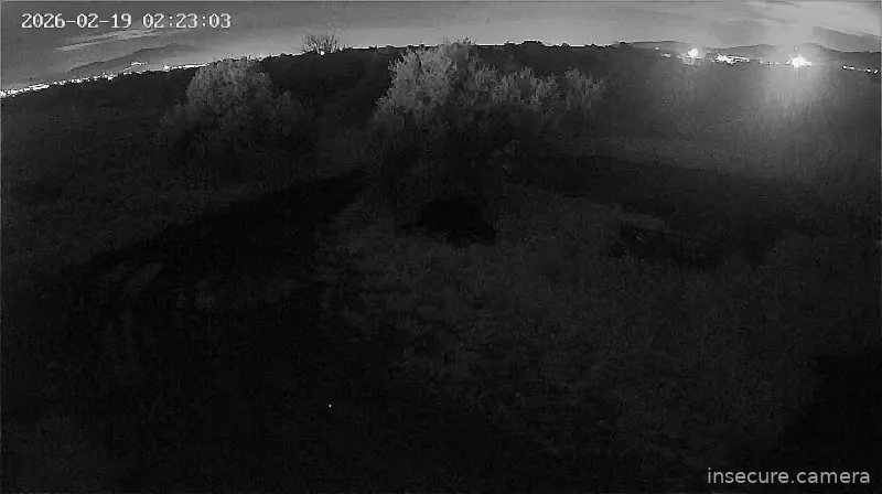 Capture from Feb 19, 2026 at 12:23 AM