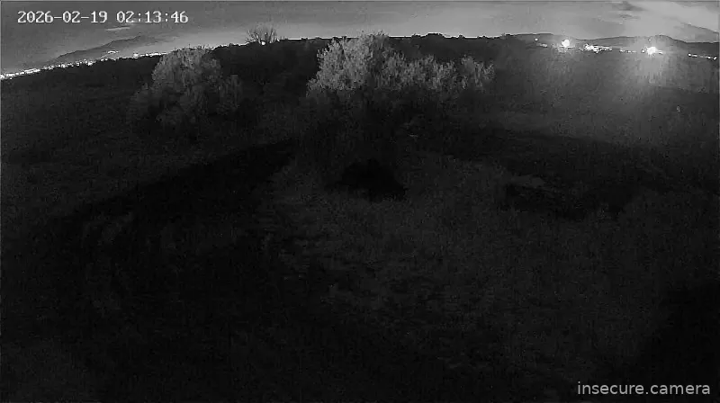 Capture from Feb 19, 2026 at 12:14 AM