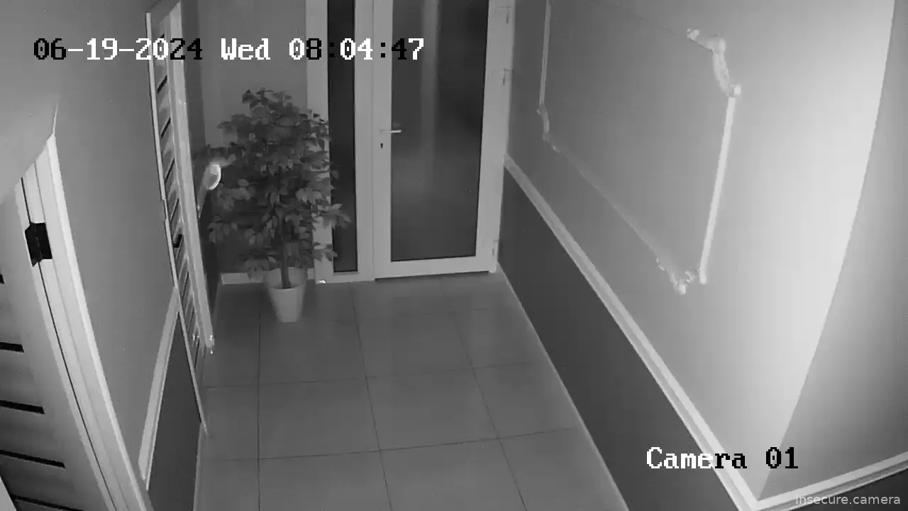 Camera in Russia