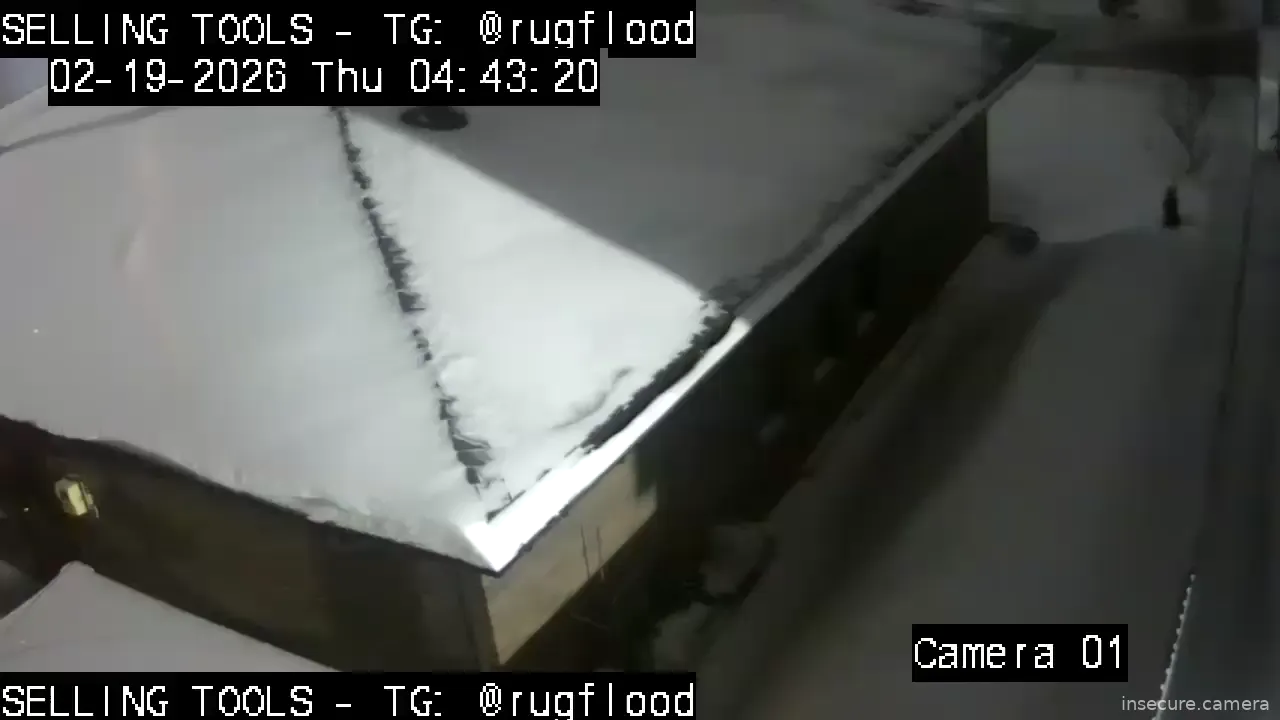 Capture from Feb 19, 2026 at 01:04 AM