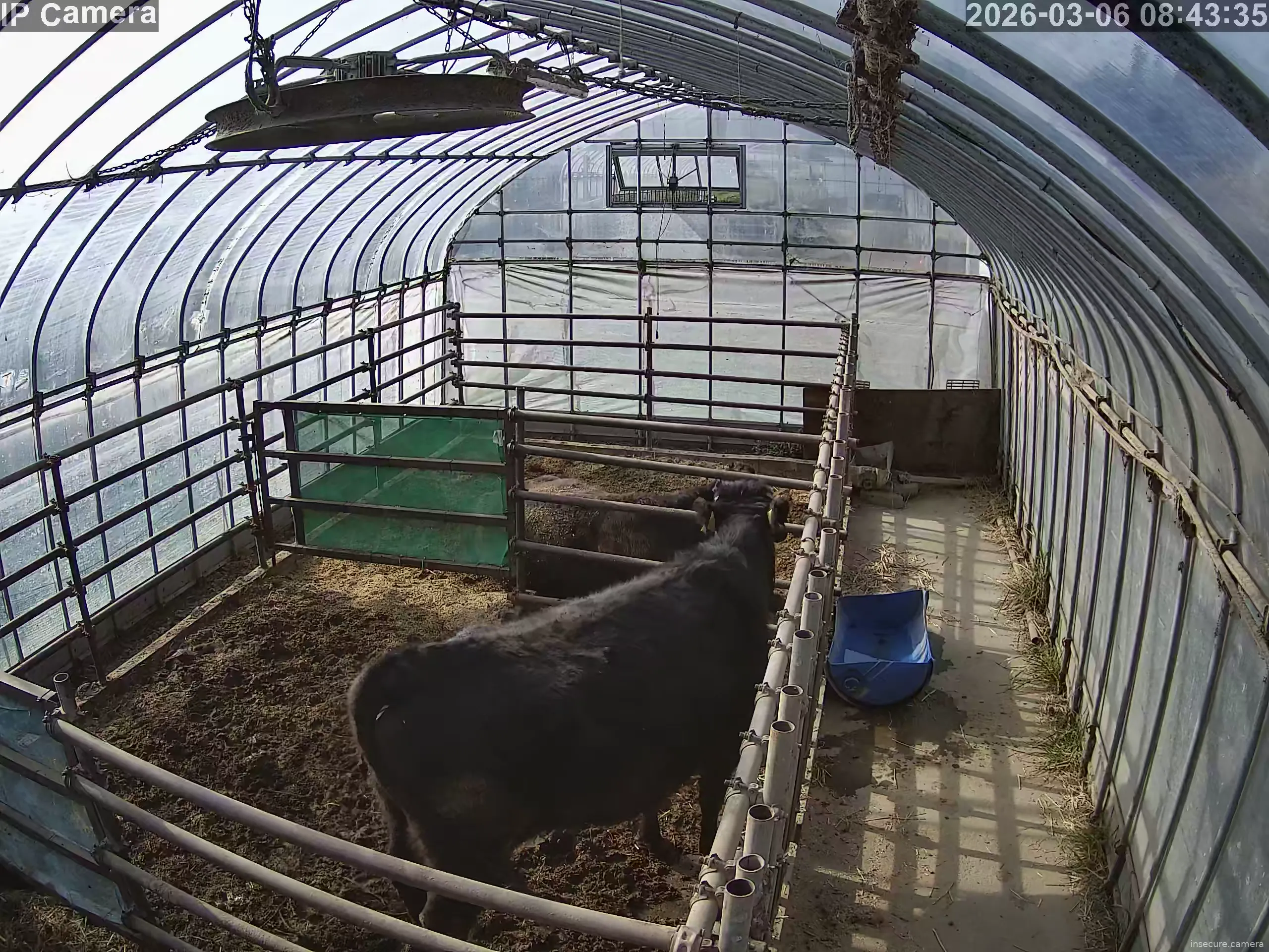 Capture from Mar 05, 2026 at 11:44 PM