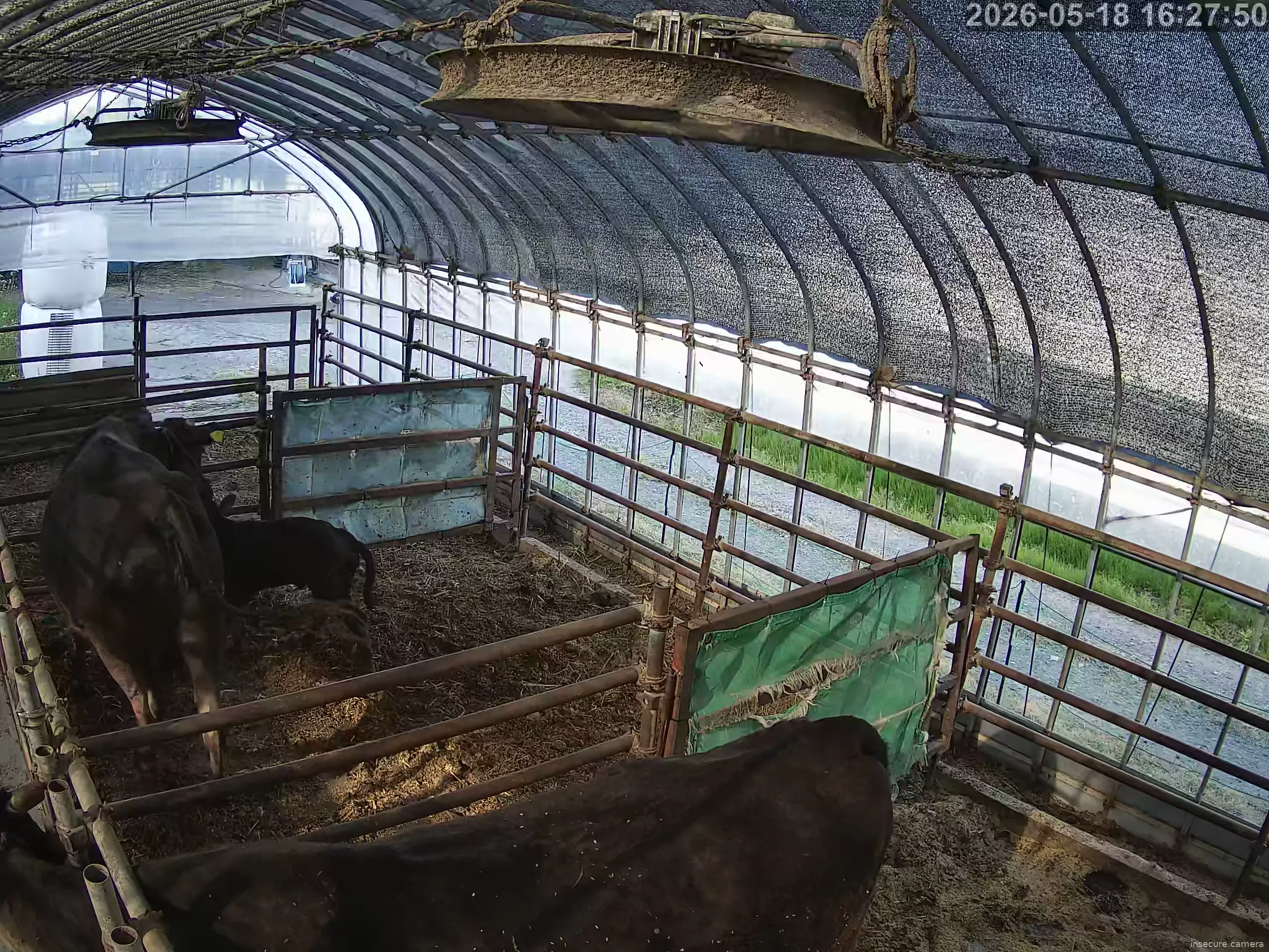 Capture from May 18, 2026 at 07:28 AM