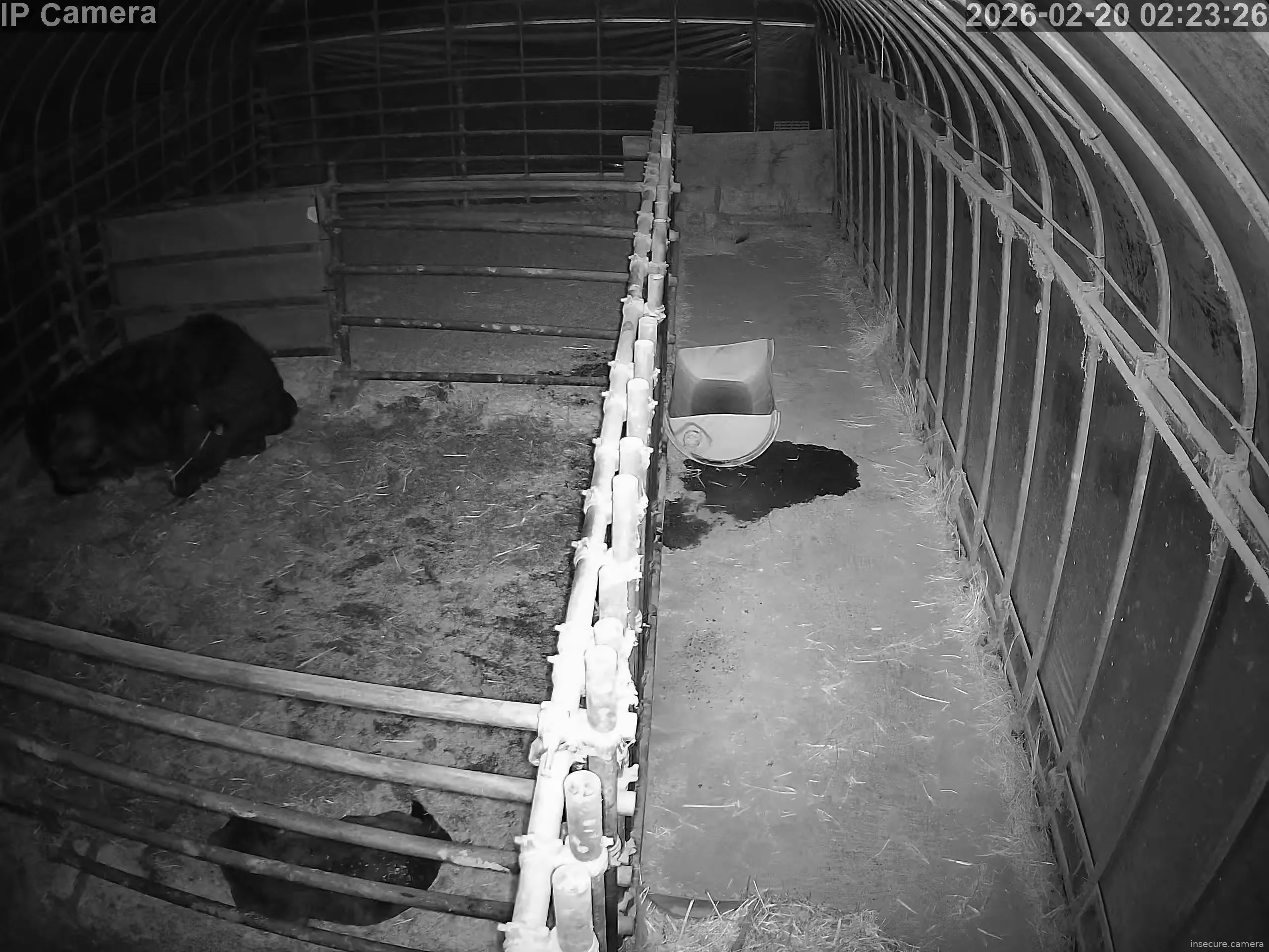 Capture from Feb 19, 2026 at 05:23 PM