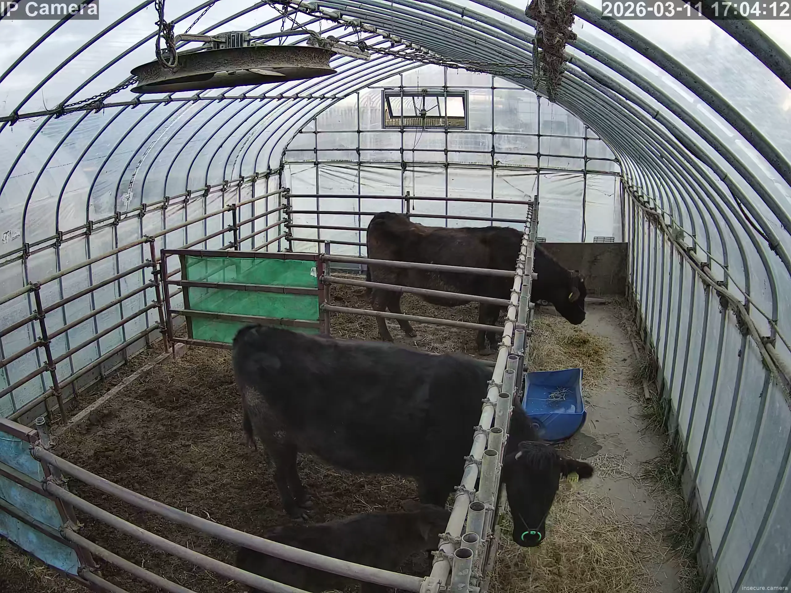 Capture from Mar 11, 2026 at 08:04 AM