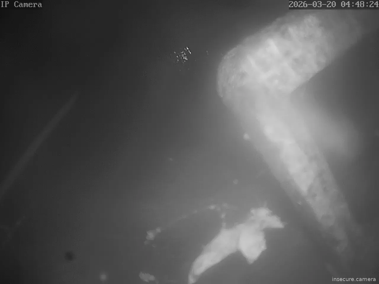 Capture from Mar 19, 2026 at 08:48 PM