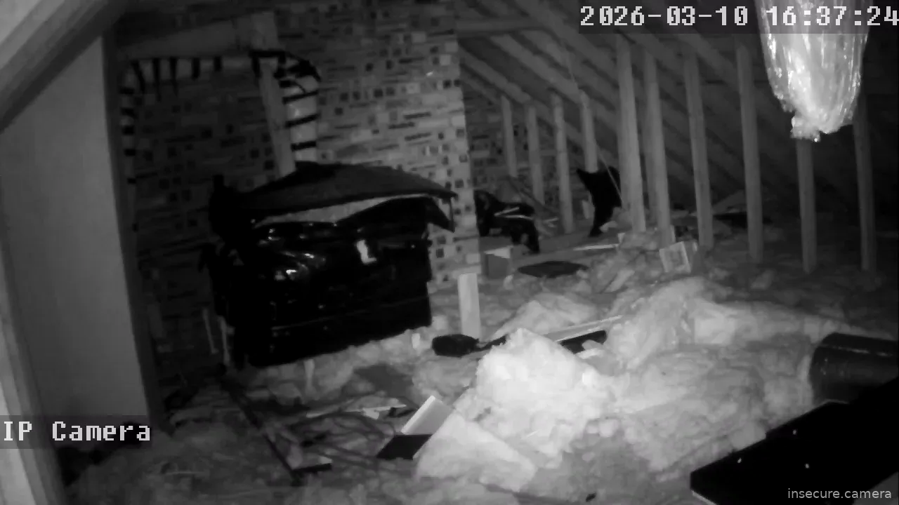 Camera in United Kingdom