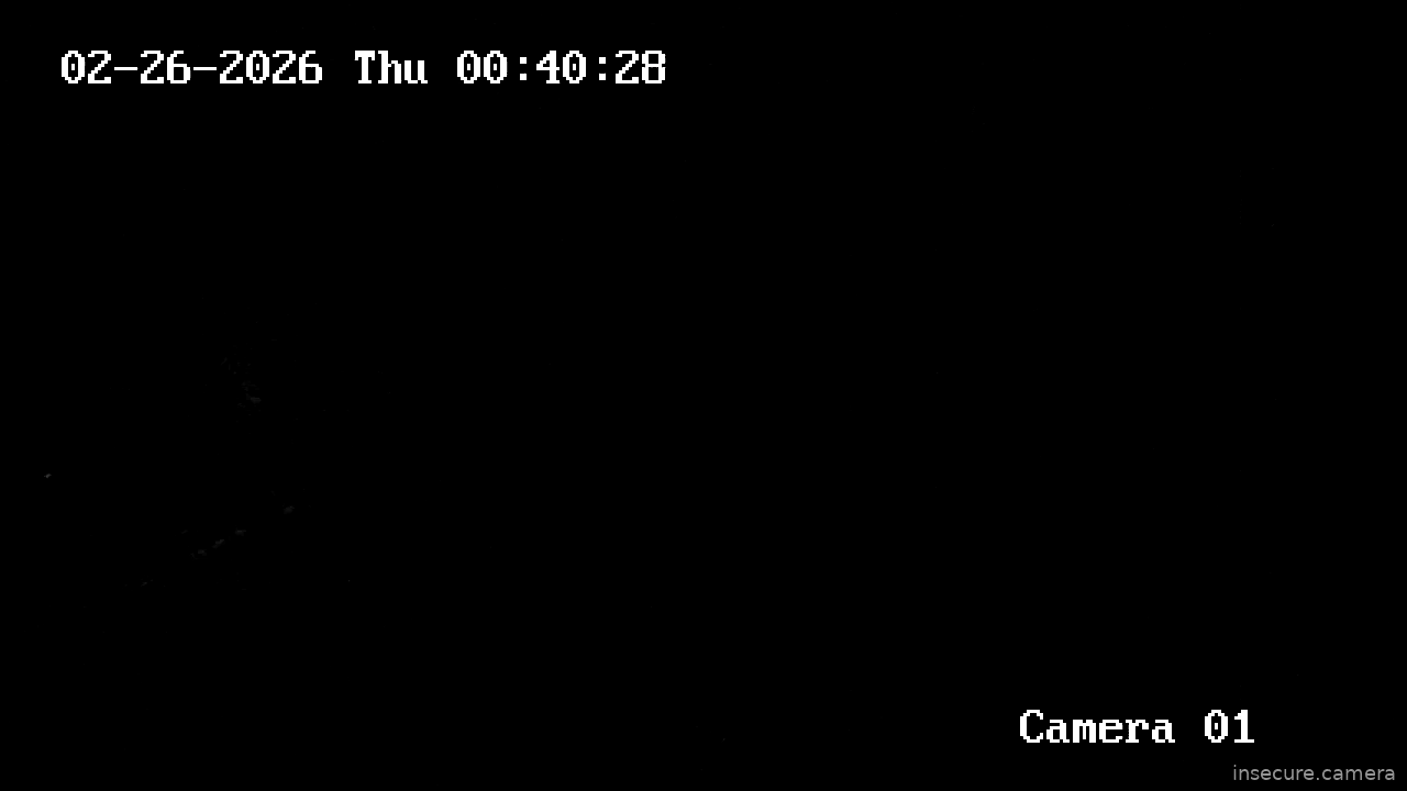 Capture from Feb 25, 2026 at 10:40 PM