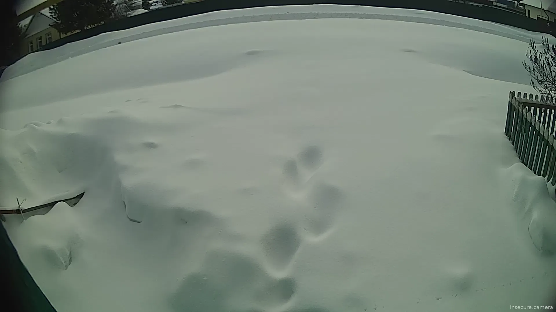 Capture from Feb 23, 2026 at 08:07 AM