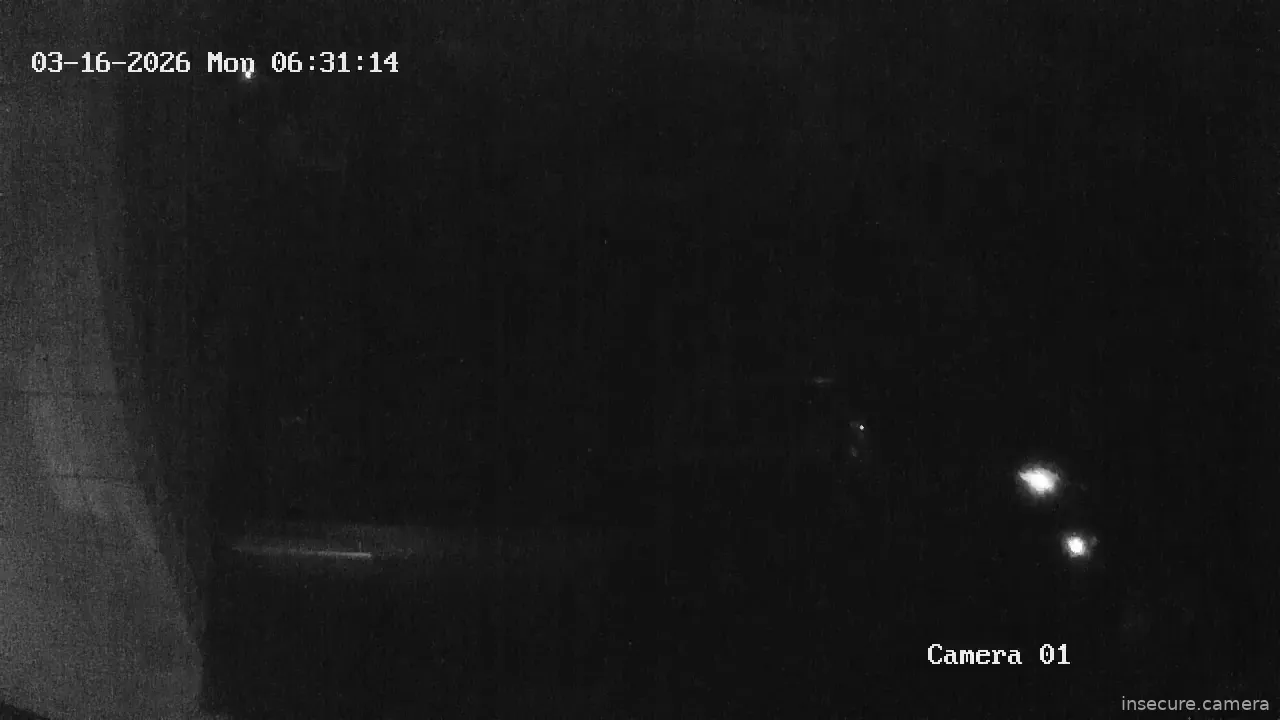 Capture from Mar 15, 2026 at 11:38 PM