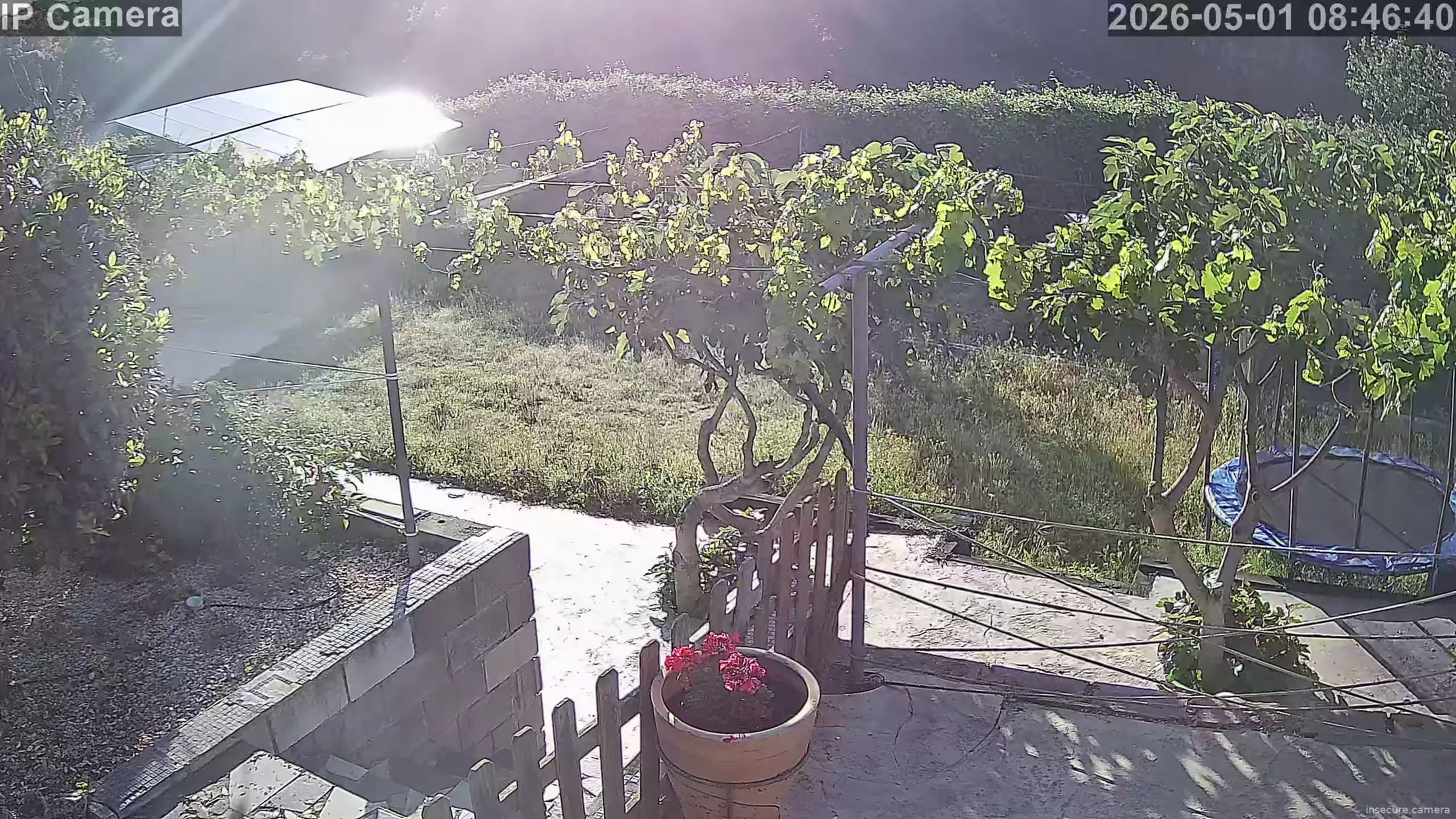 Capture from May 01, 2026 at 06:47 AM