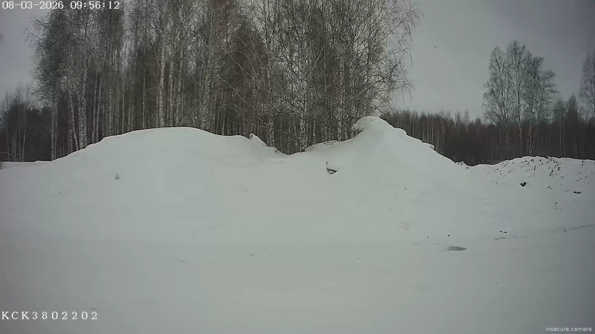 Capture from Mar 08, 2026 at 02:56 AM