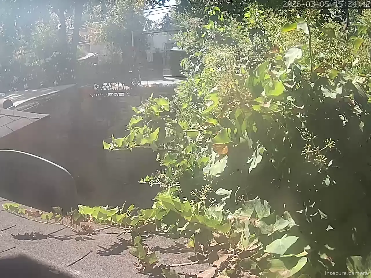 Capture from Mar 05, 2026 at 07:24 PM