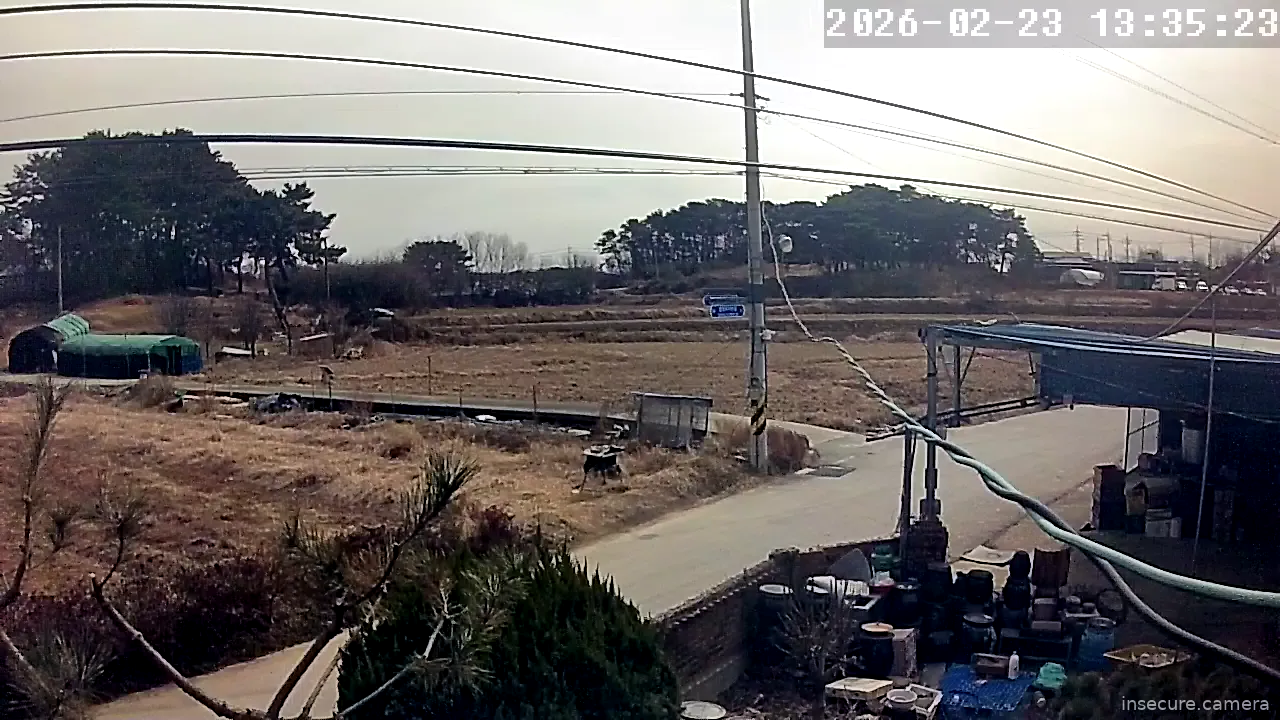 Camera in South Korea