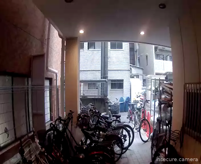 Camera in Japan