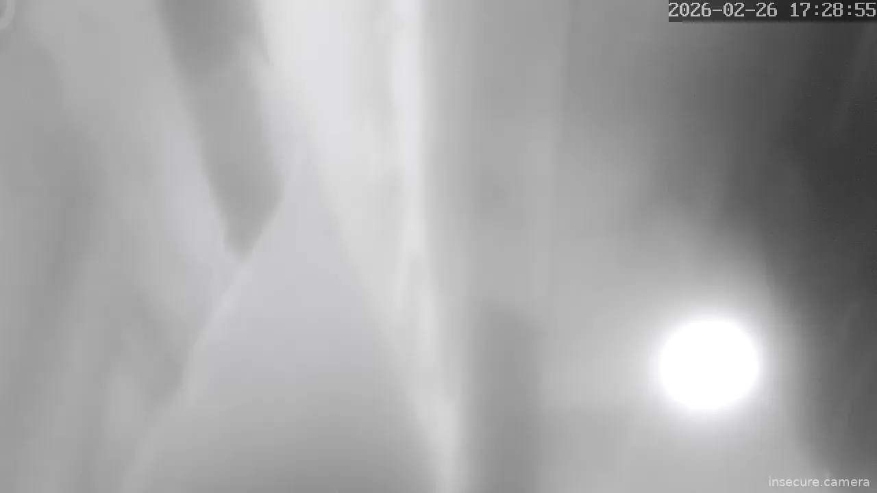 Capture from Feb 26, 2026 at 09:29 AM