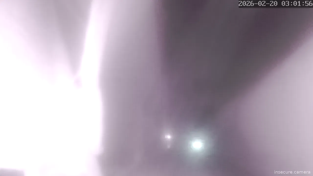 Capture from Feb 19, 2026 at 07:03 PM