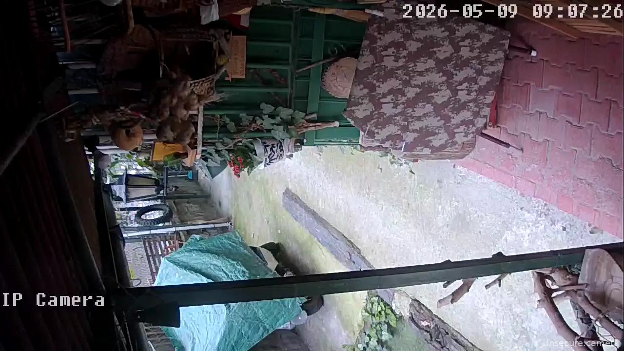 Camera in Türkiye