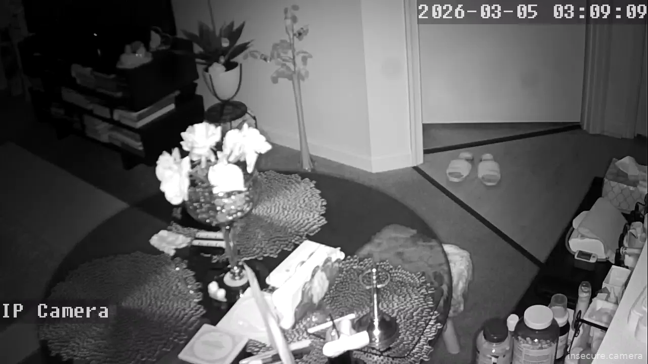 Camera in United States