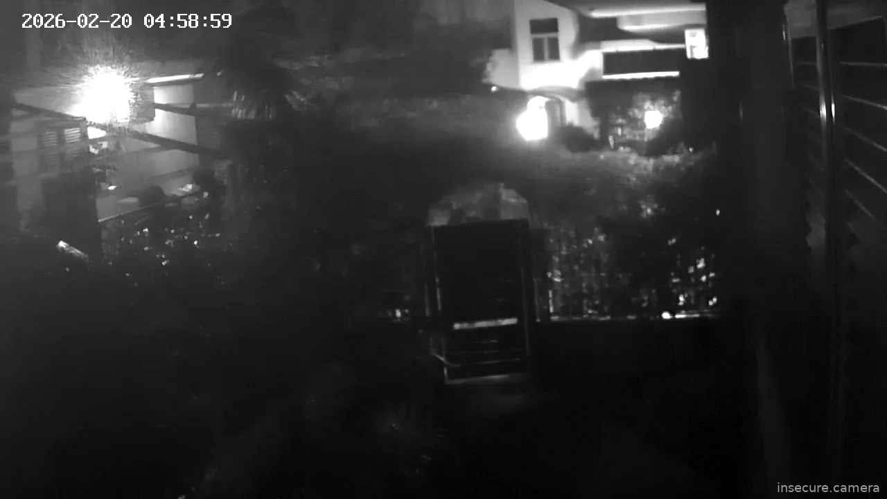 Capture from Feb 19, 2026 at 08:59 PM