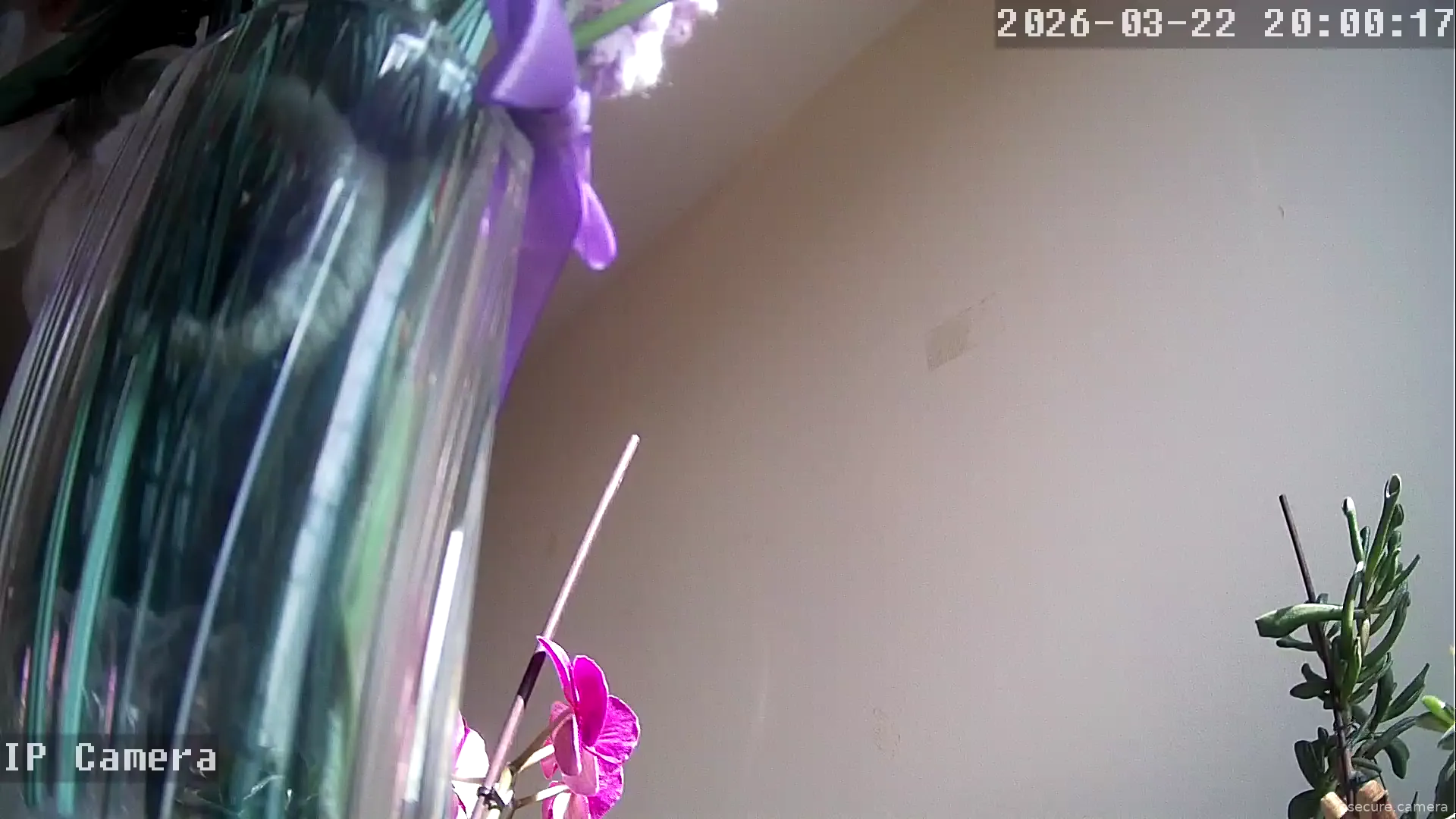 Camera in United Kingdom