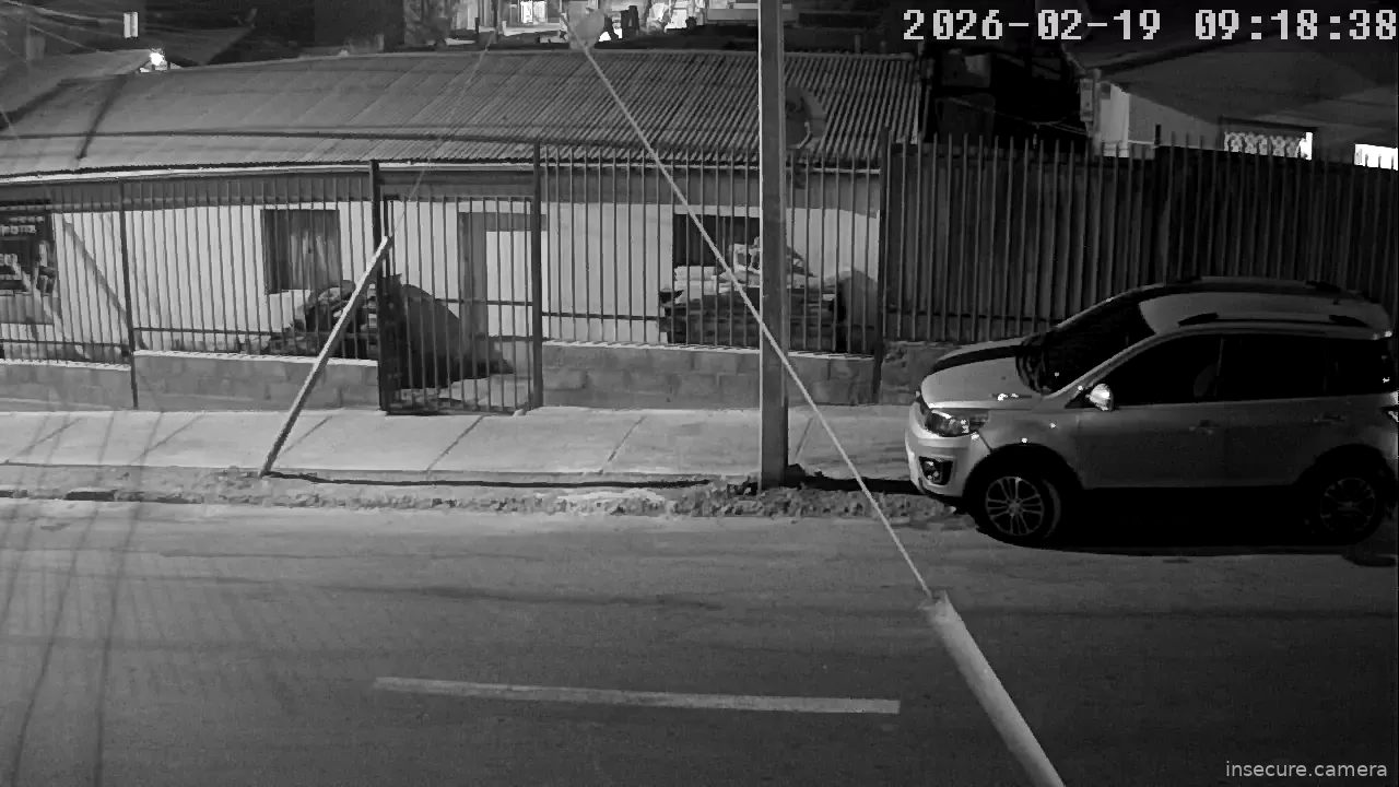 Capture from Feb 19, 2026 at 01:19 AM