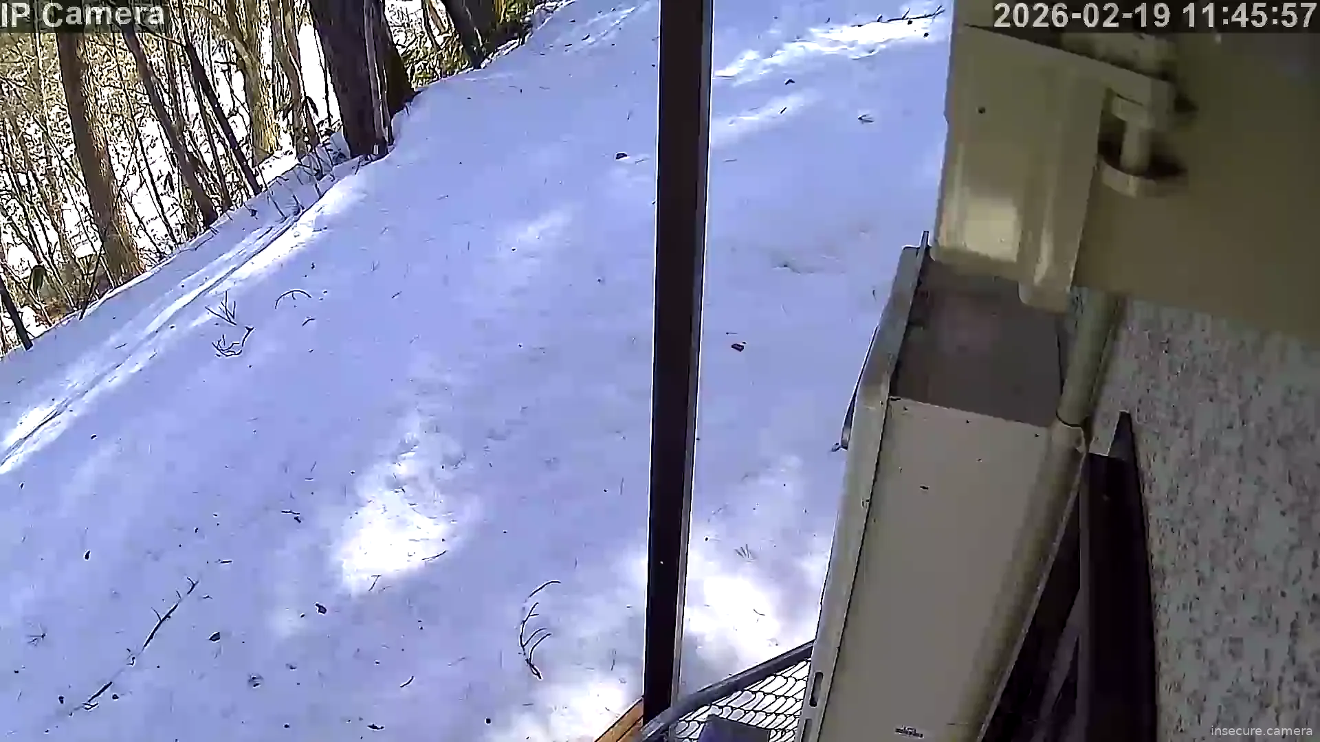 Capture from Feb 19, 2026 at 02:46 AM