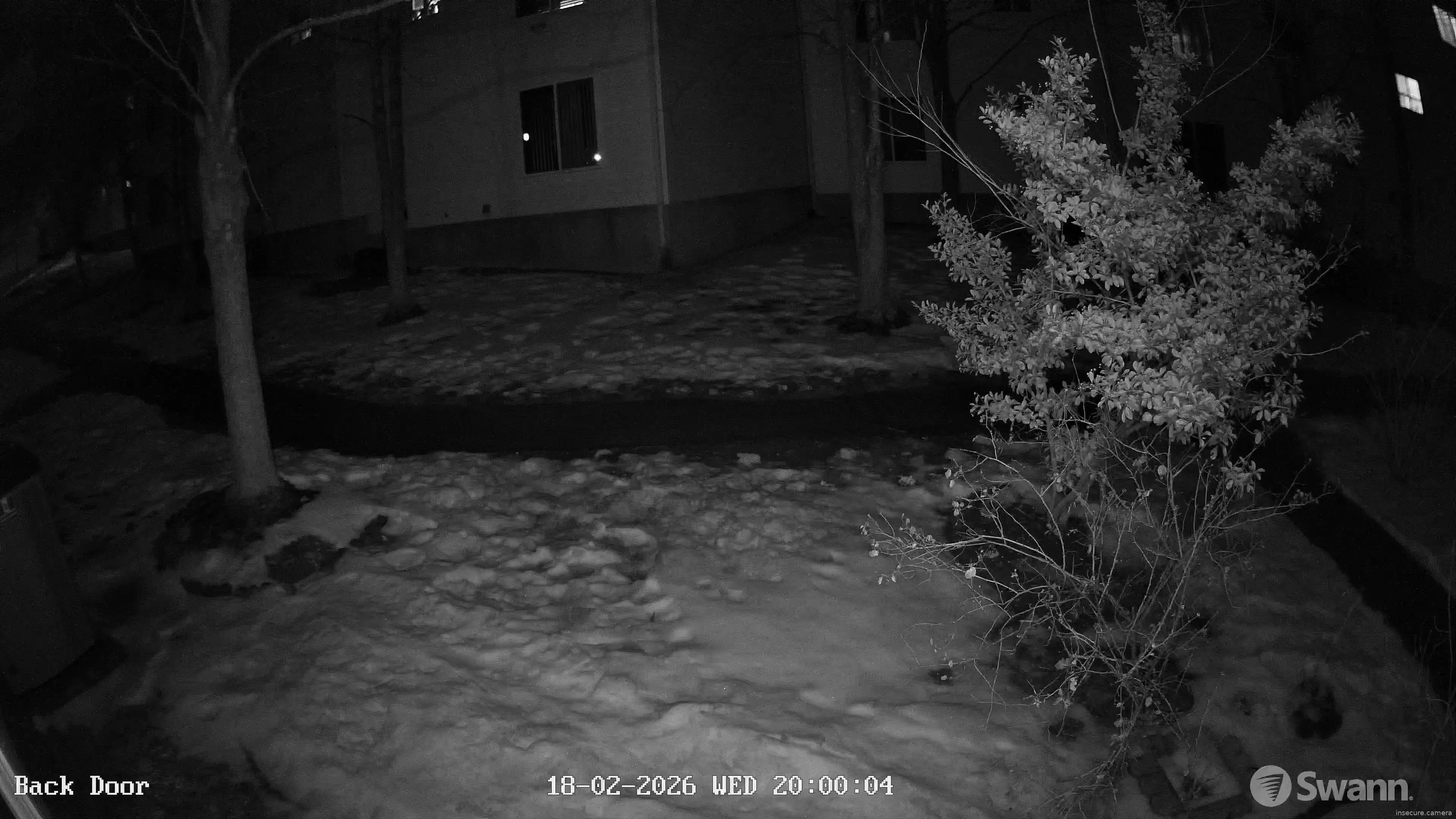 Capture from Feb 19, 2026 at 01:00 AM