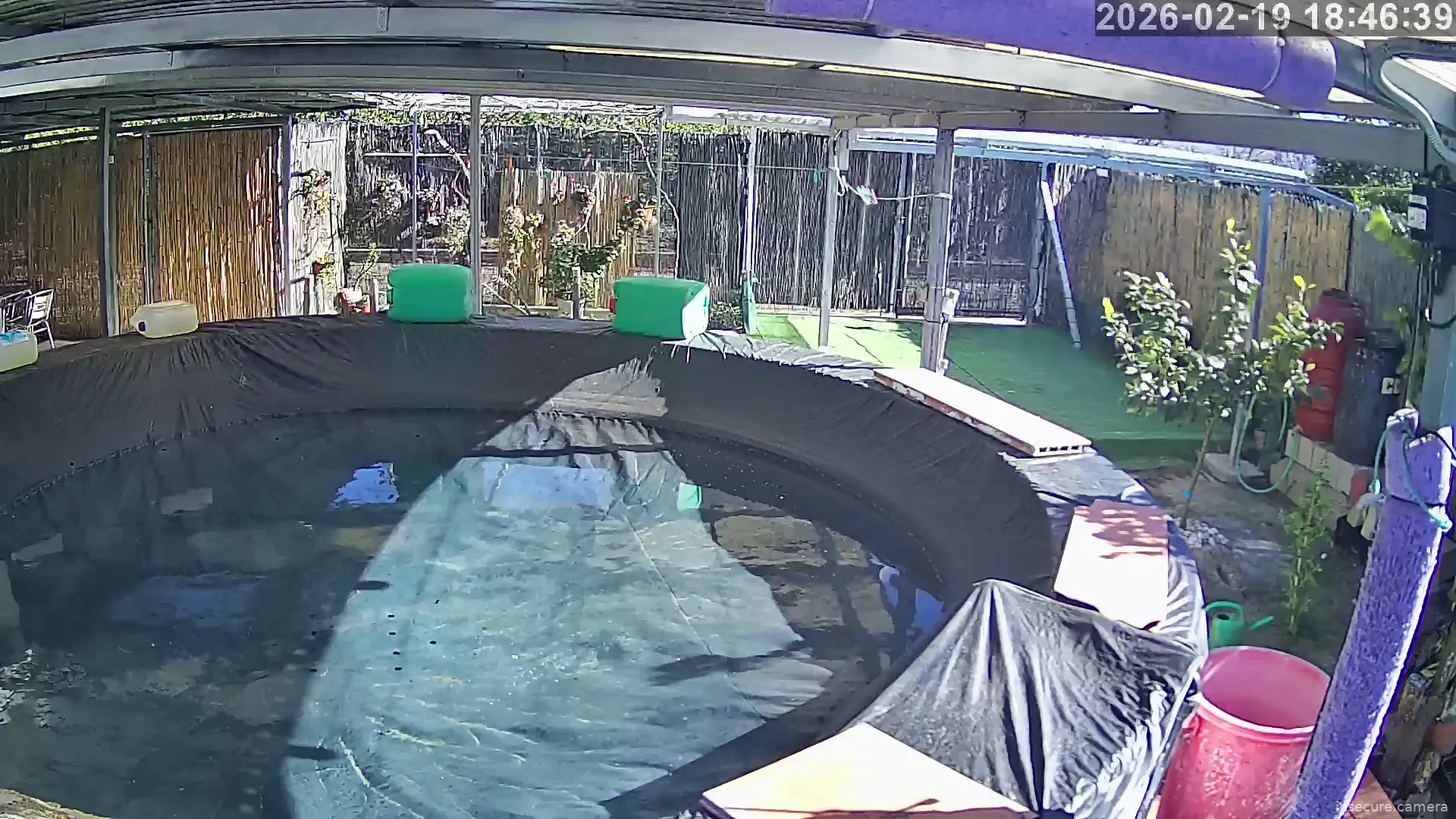 Capture from Feb 19, 2026 at 10:46 AM