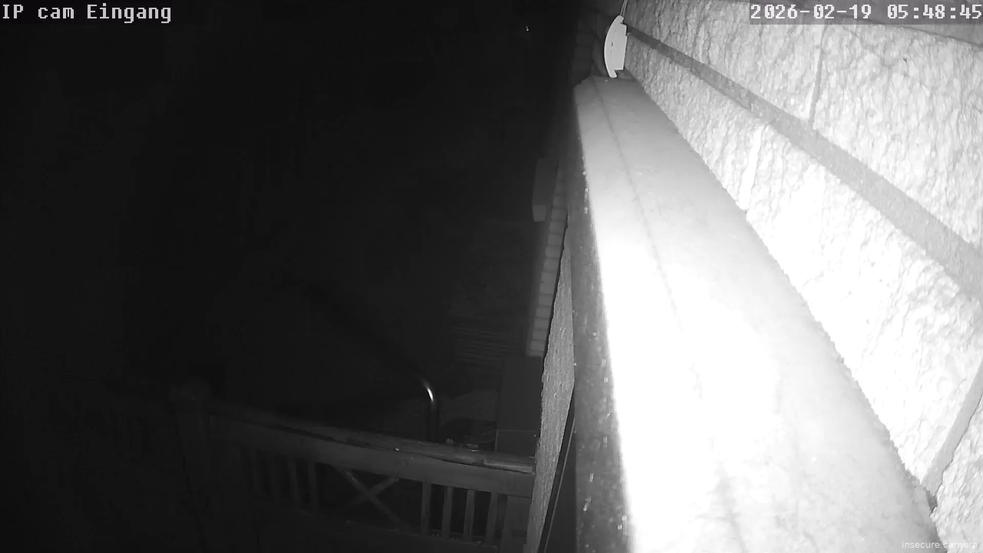 Capture from Feb 19, 2026 at 04:49 AM