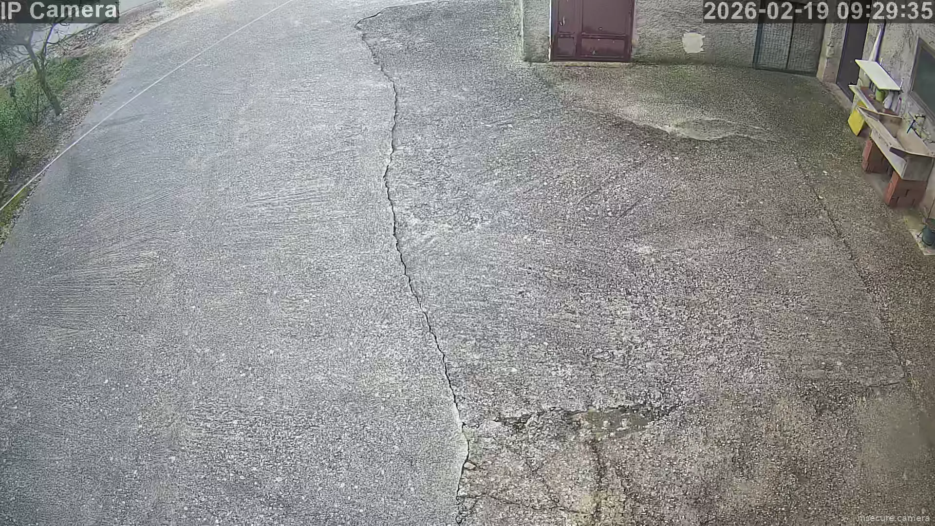 Capture from Feb 19, 2026 at 08:29 AM