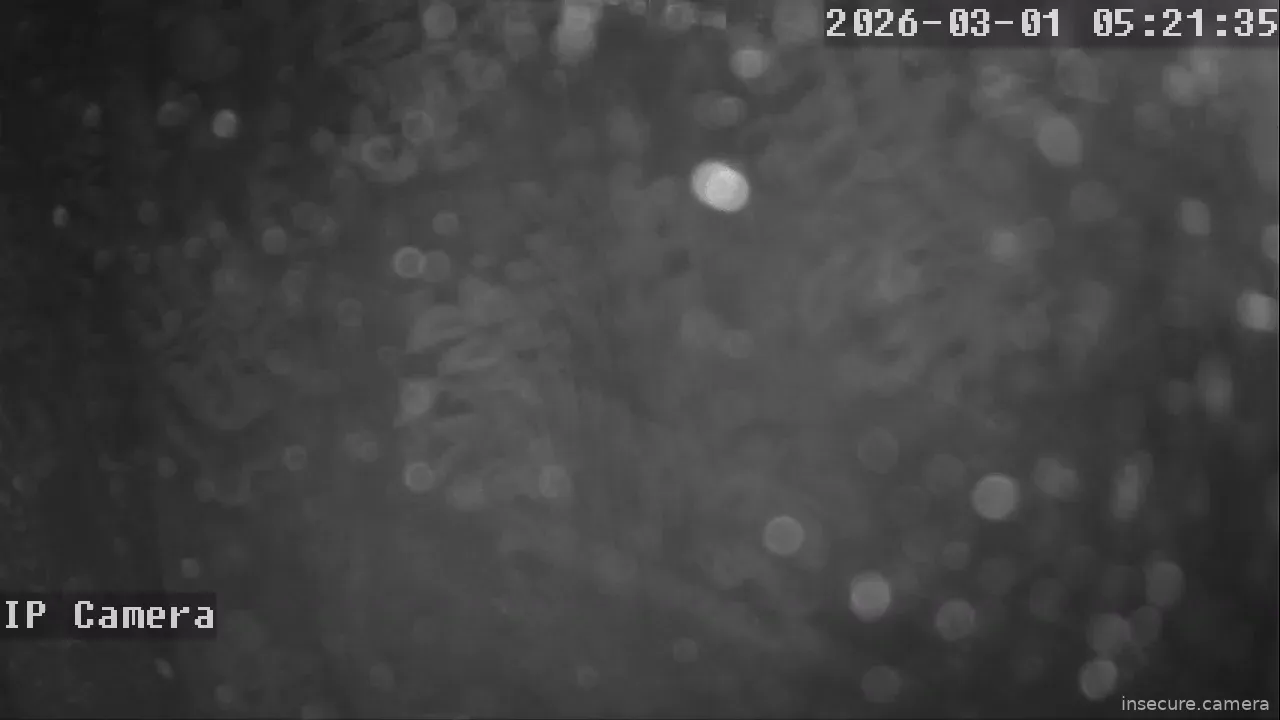 Capture from Mar 01, 2026 at 10:21 AM