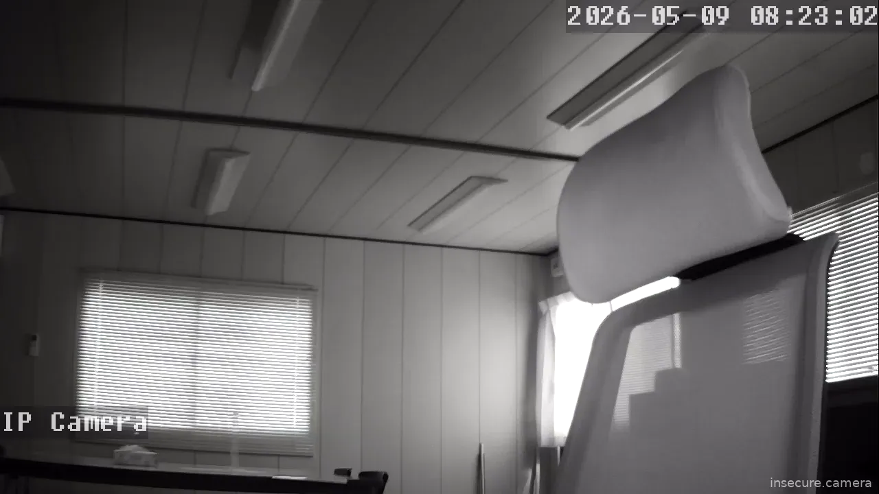 Camera in Japan