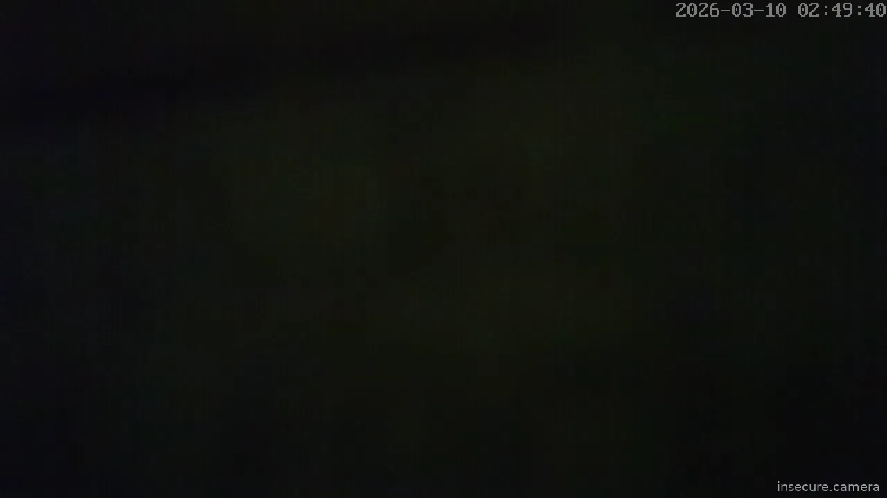 Capture from Mar 10, 2026 at 10:49 AM