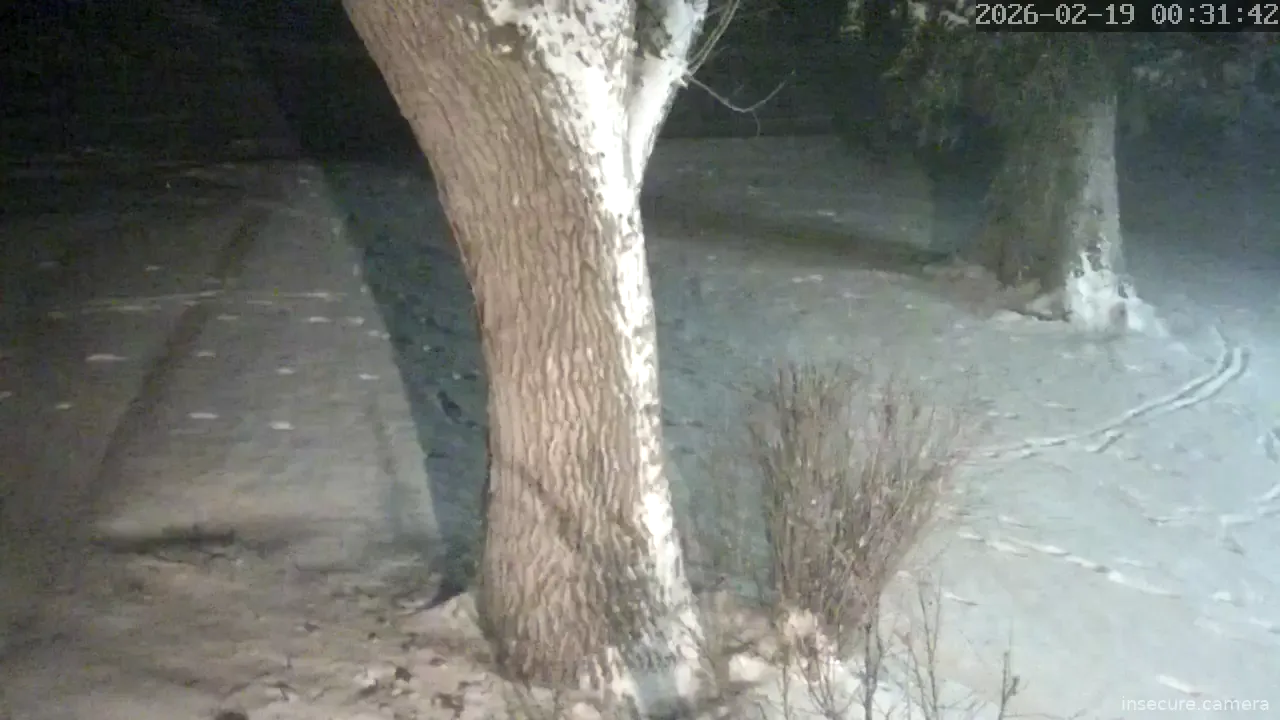 Capture from Feb 19, 2026 at 07:32 AM