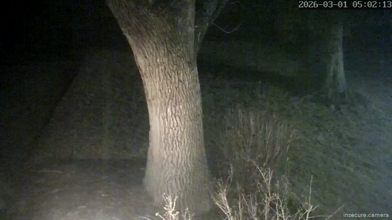 Camera in United States