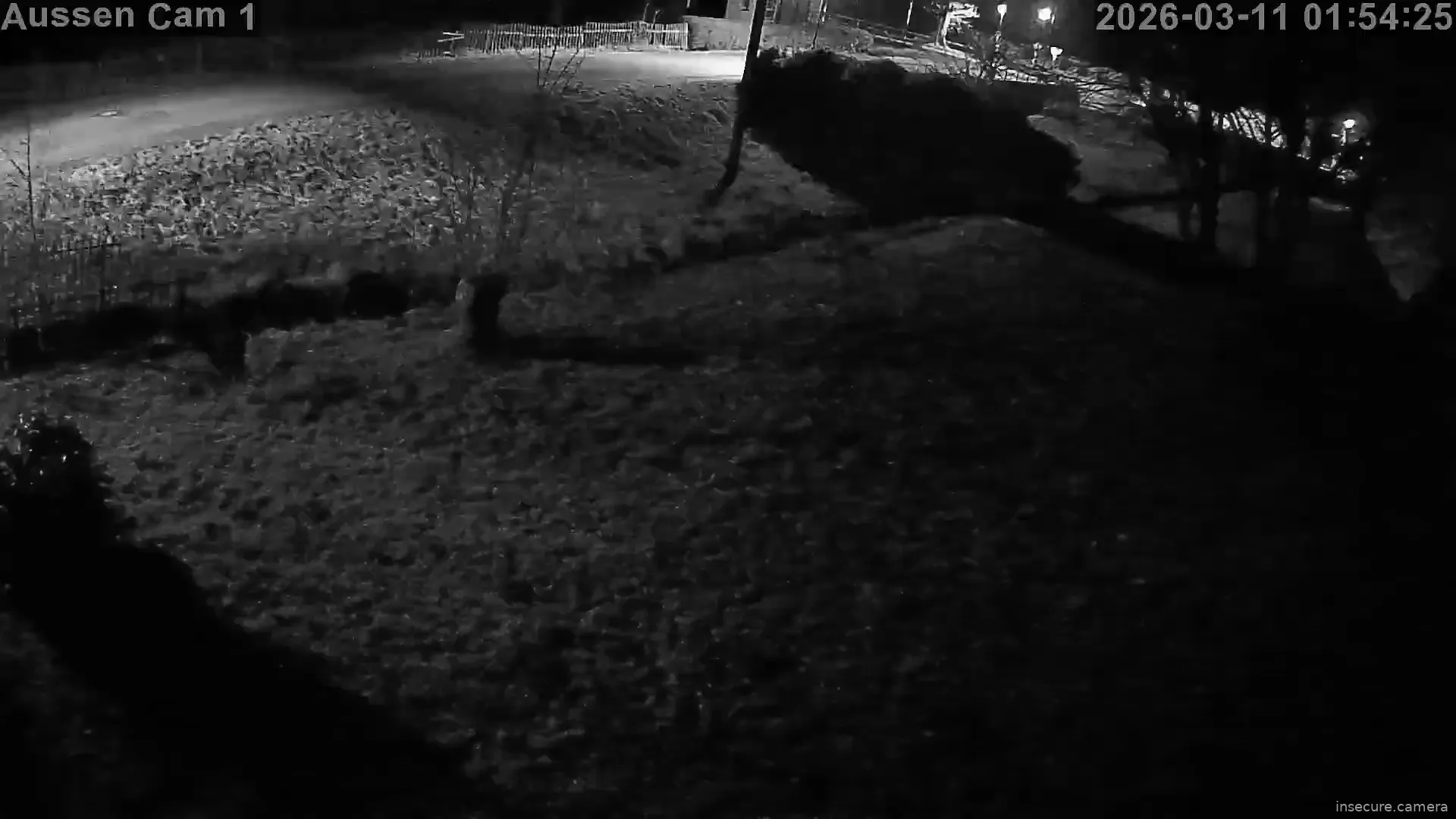 Capture from Mar 11, 2026 at 12:54 AM