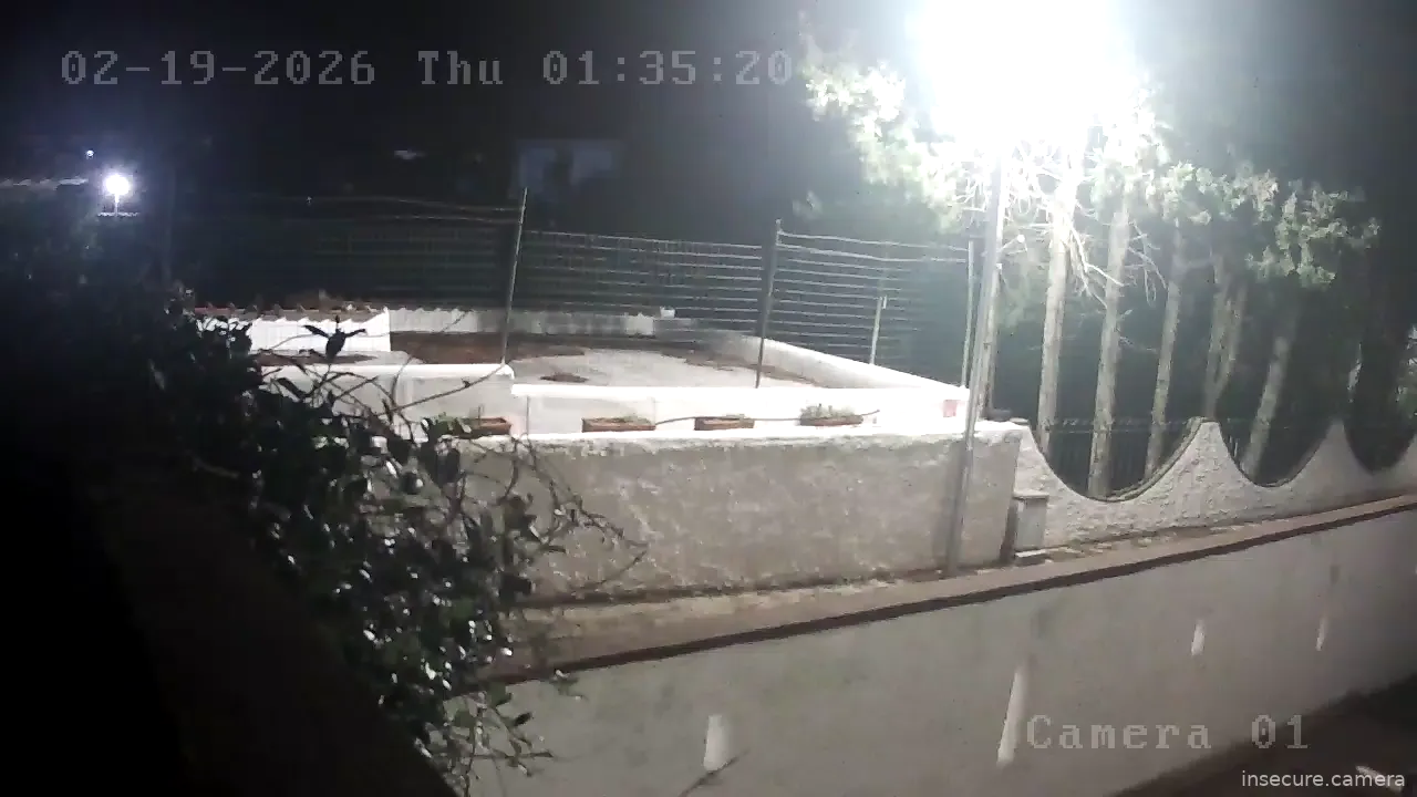 Capture from Feb 19, 2026 at 12:35 AM