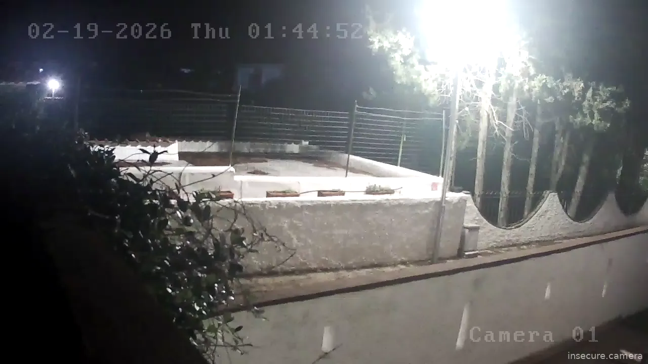 Capture from Feb 19, 2026 at 12:45 AM