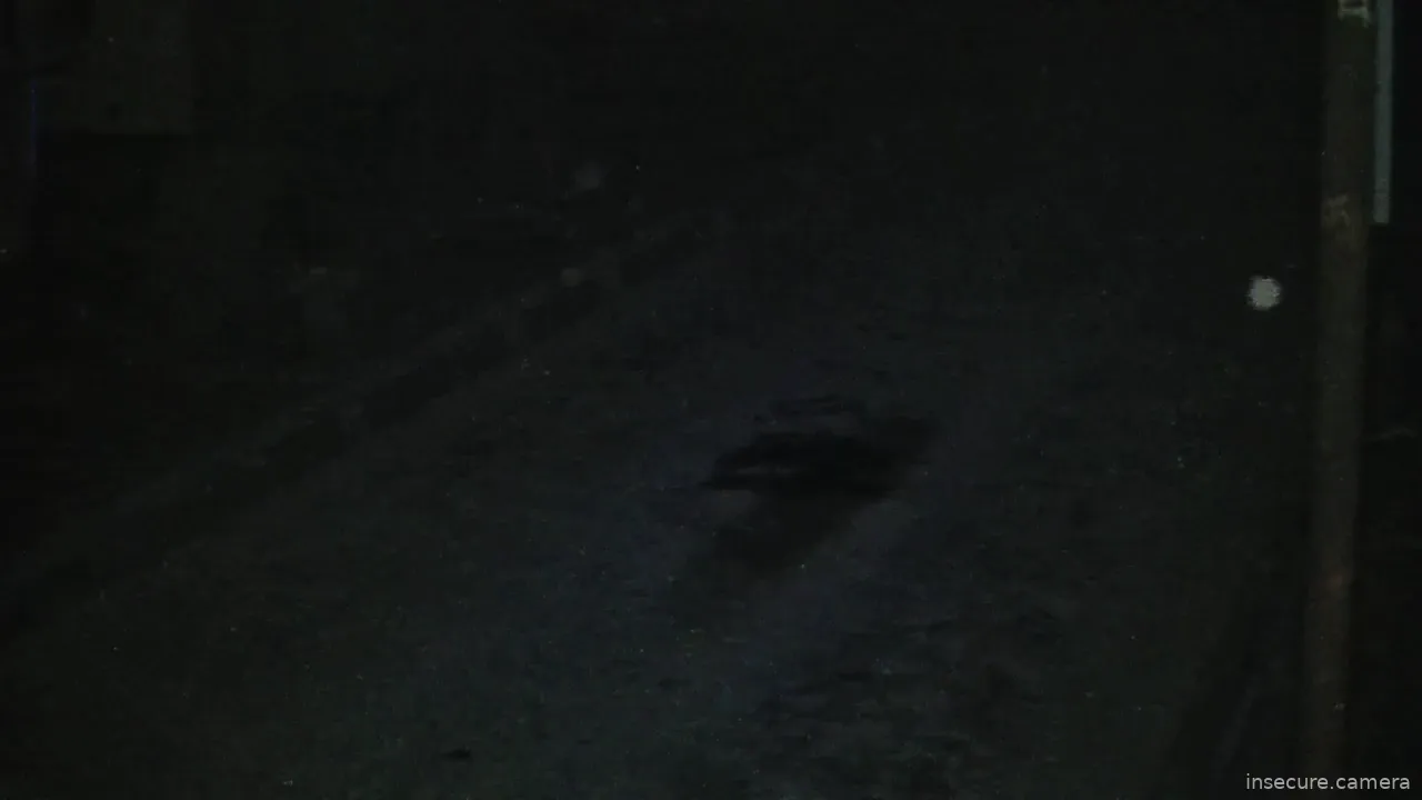 Capture from Feb 21, 2026 at 11:31 AM