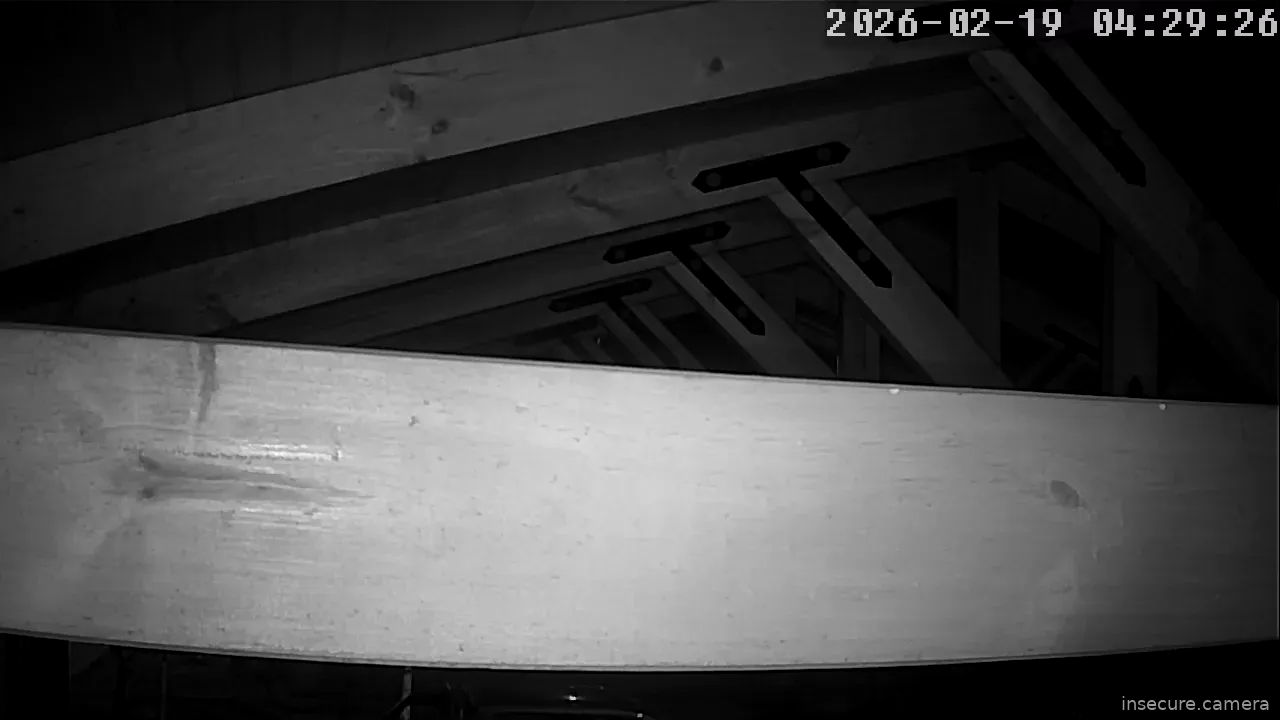 Capture from Feb 19, 2026 at 07:29 AM