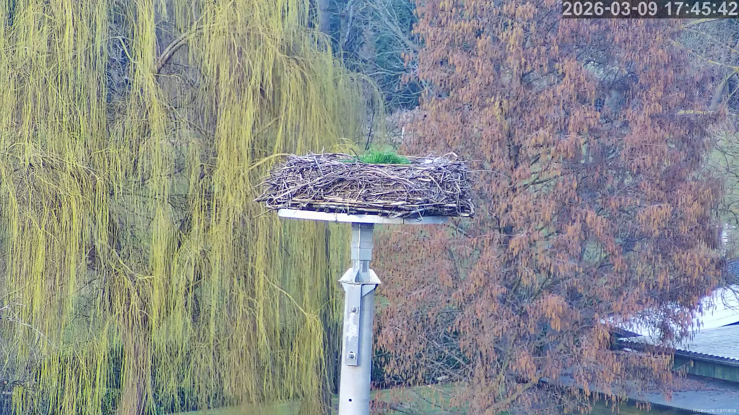 Capture from Mar 09, 2026 at 03:46 PM